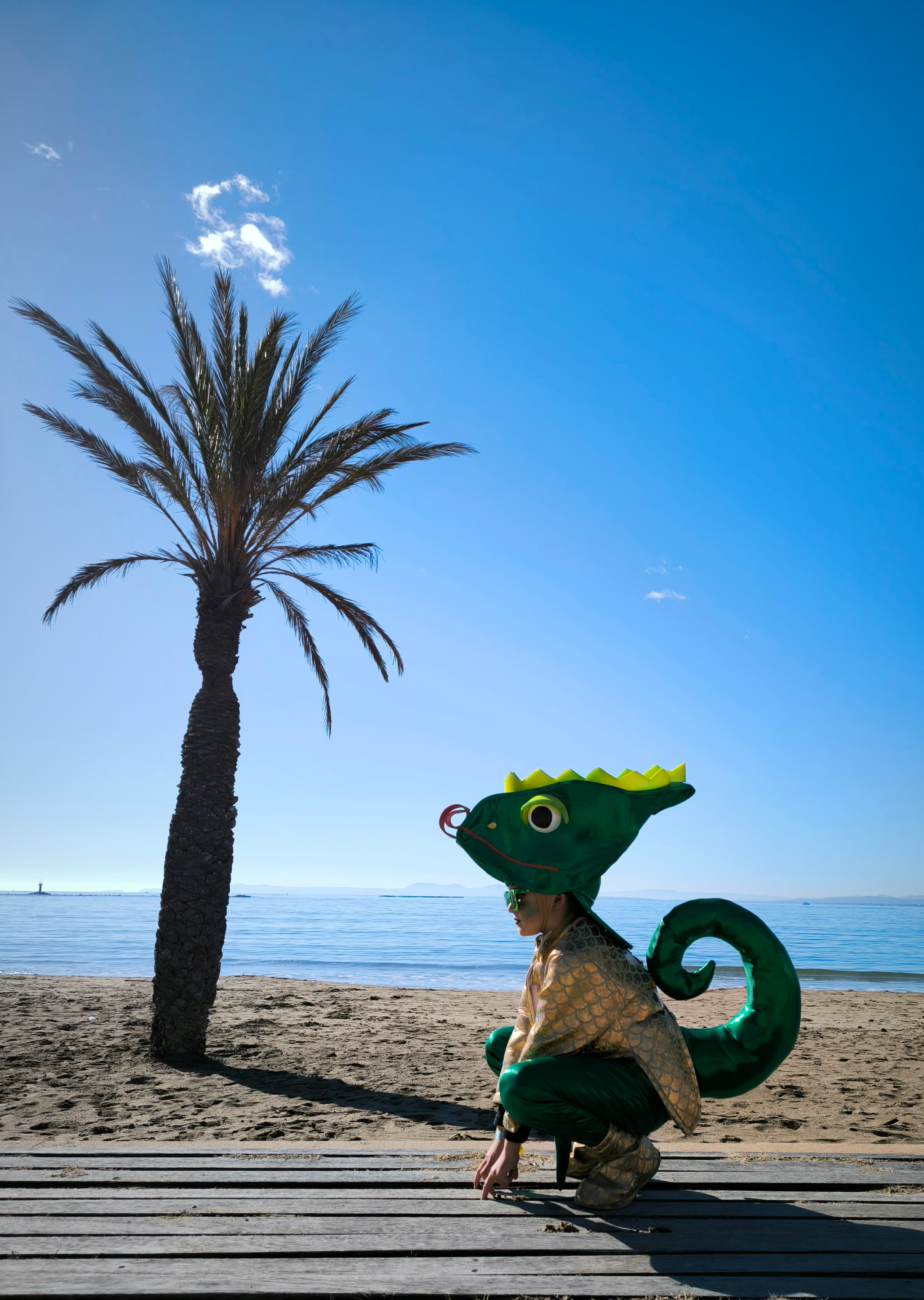 Un camaleó per Roses