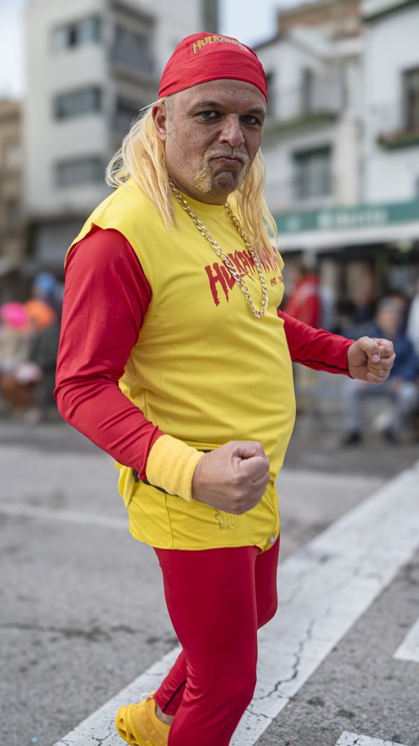 Hulk Hogan rosinc