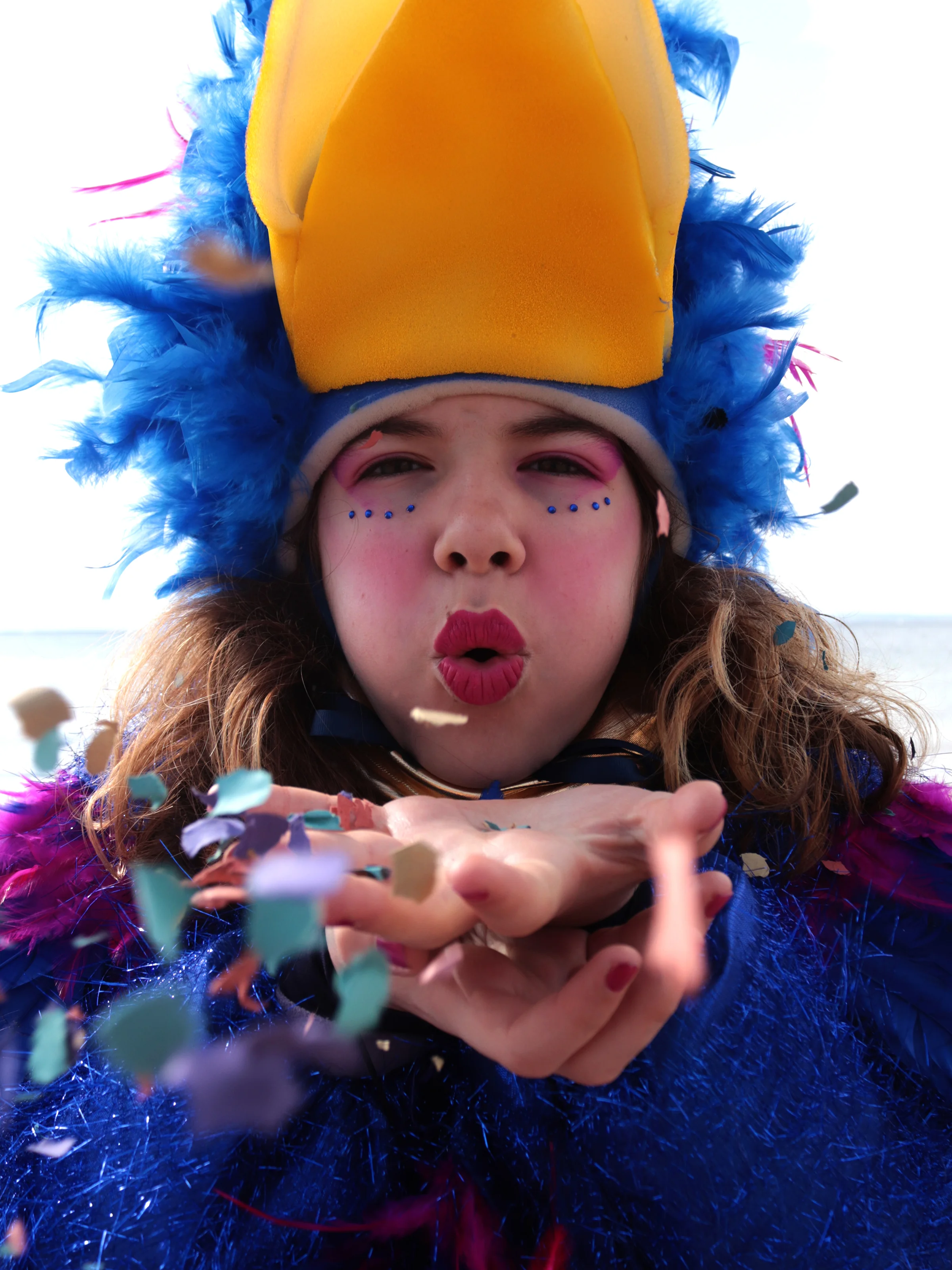 15 PLOMES CONFETI I XERINOLA