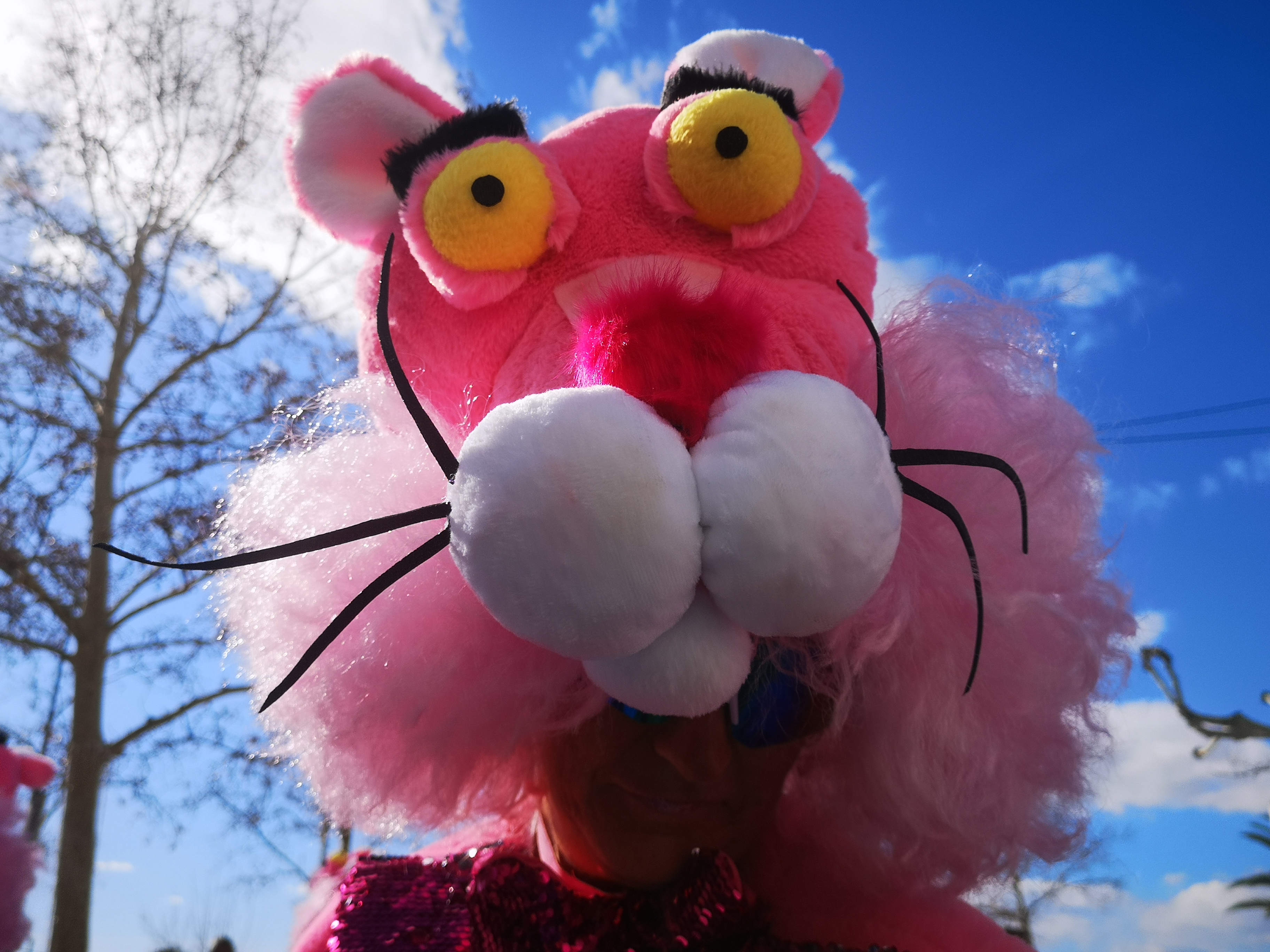 Dolça pantera de Roses