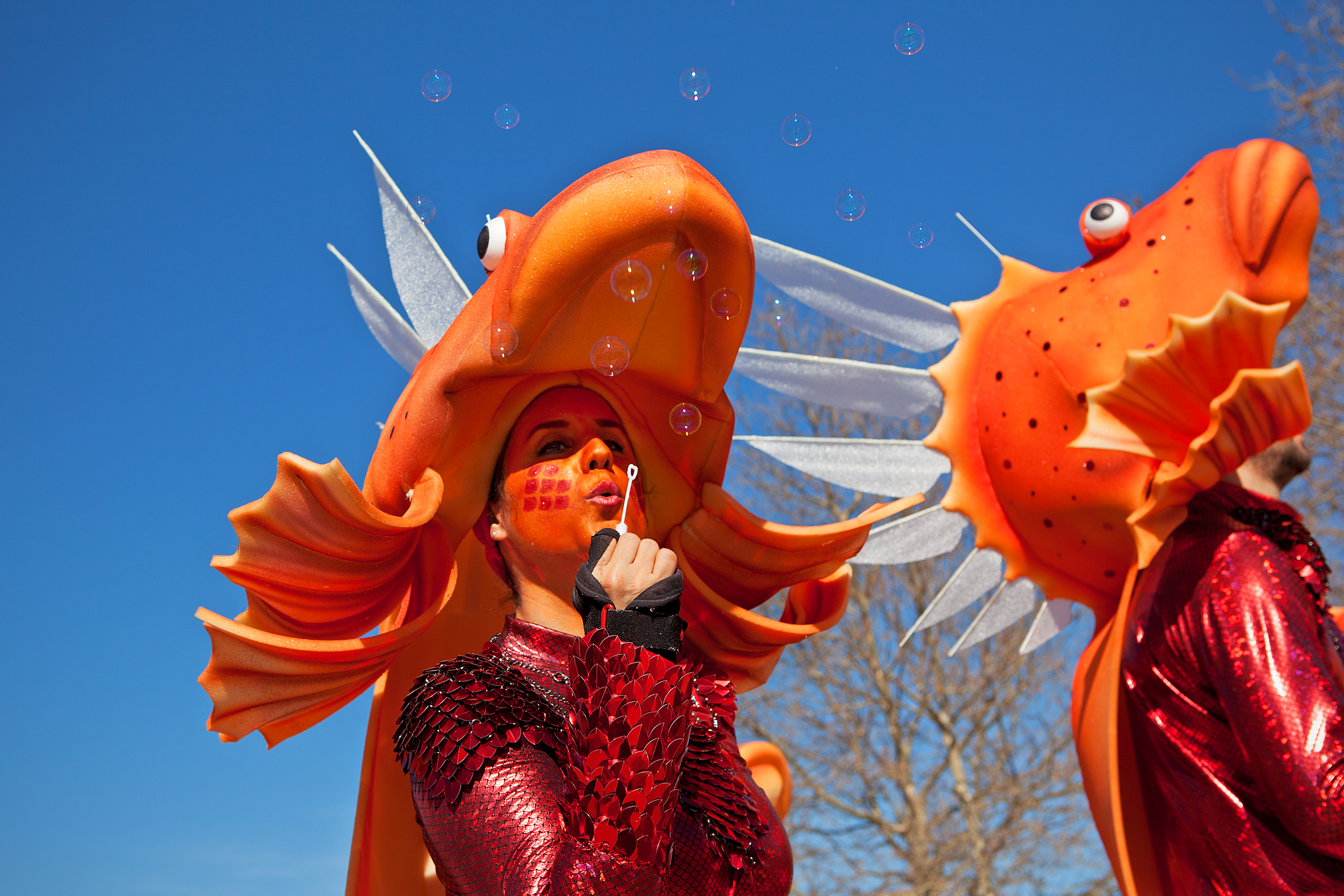 2020 - 1r premi: Bombolles de peix. | © Miquel Planells Saurina
