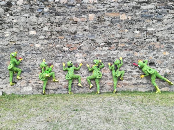 Carnaval Camaleonic