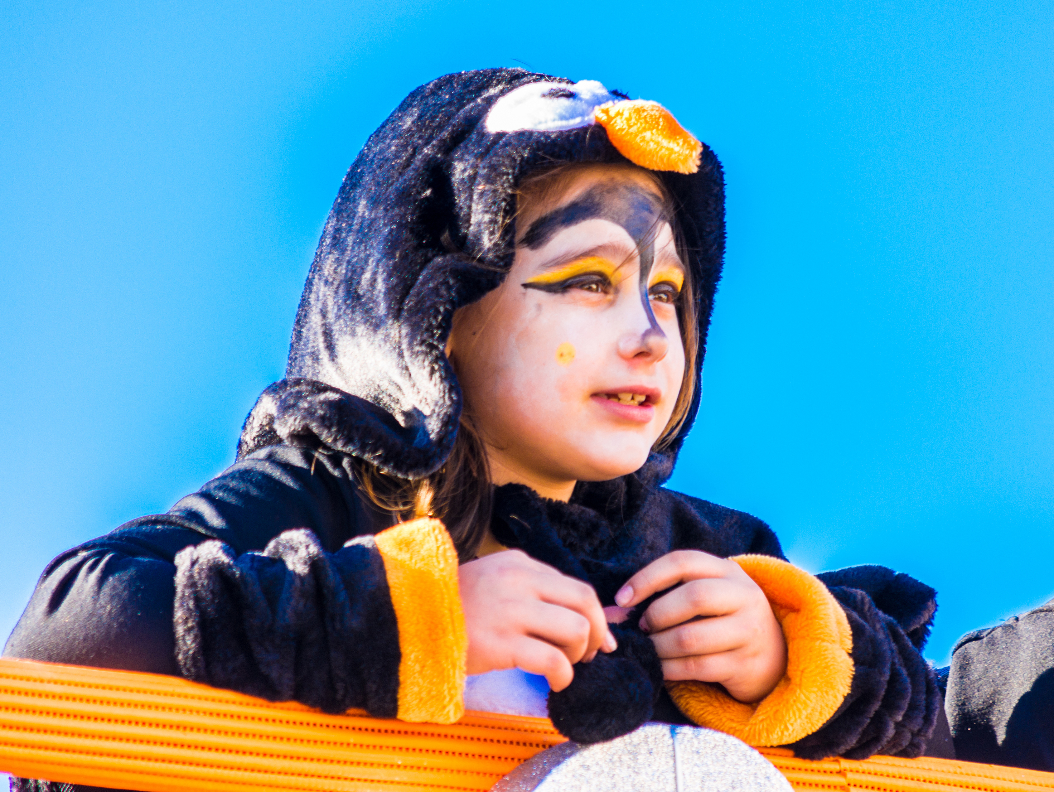 Els hereus del Carnaval