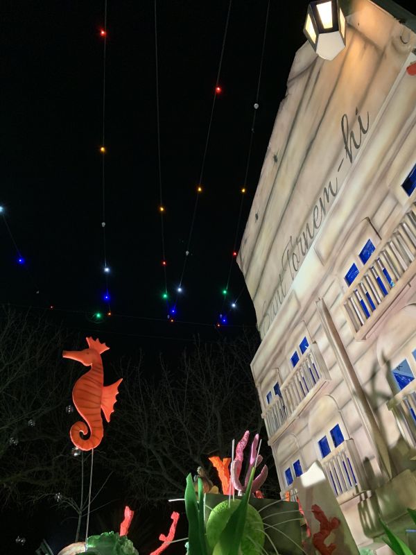 NIT DE CARNAVAL