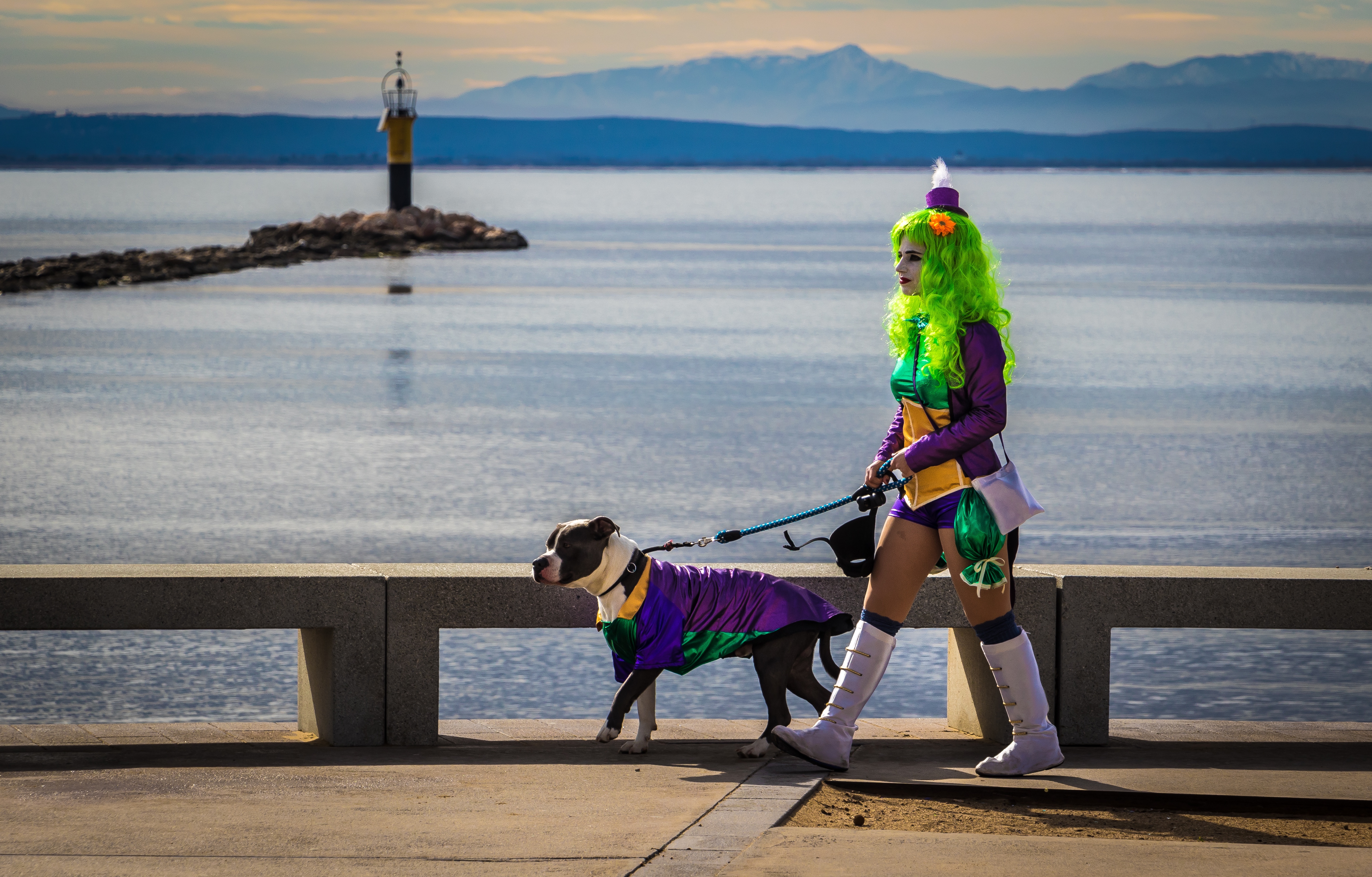 1r premi: Passejant el gos. | © Sheila Jane Mckinnon Hardie