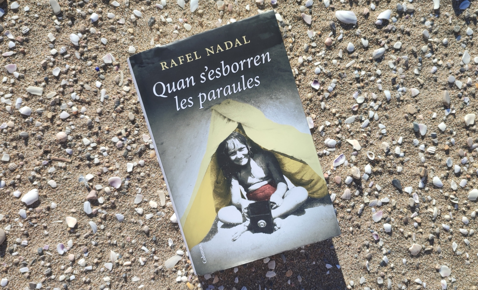 Quan s'esborren les paraules