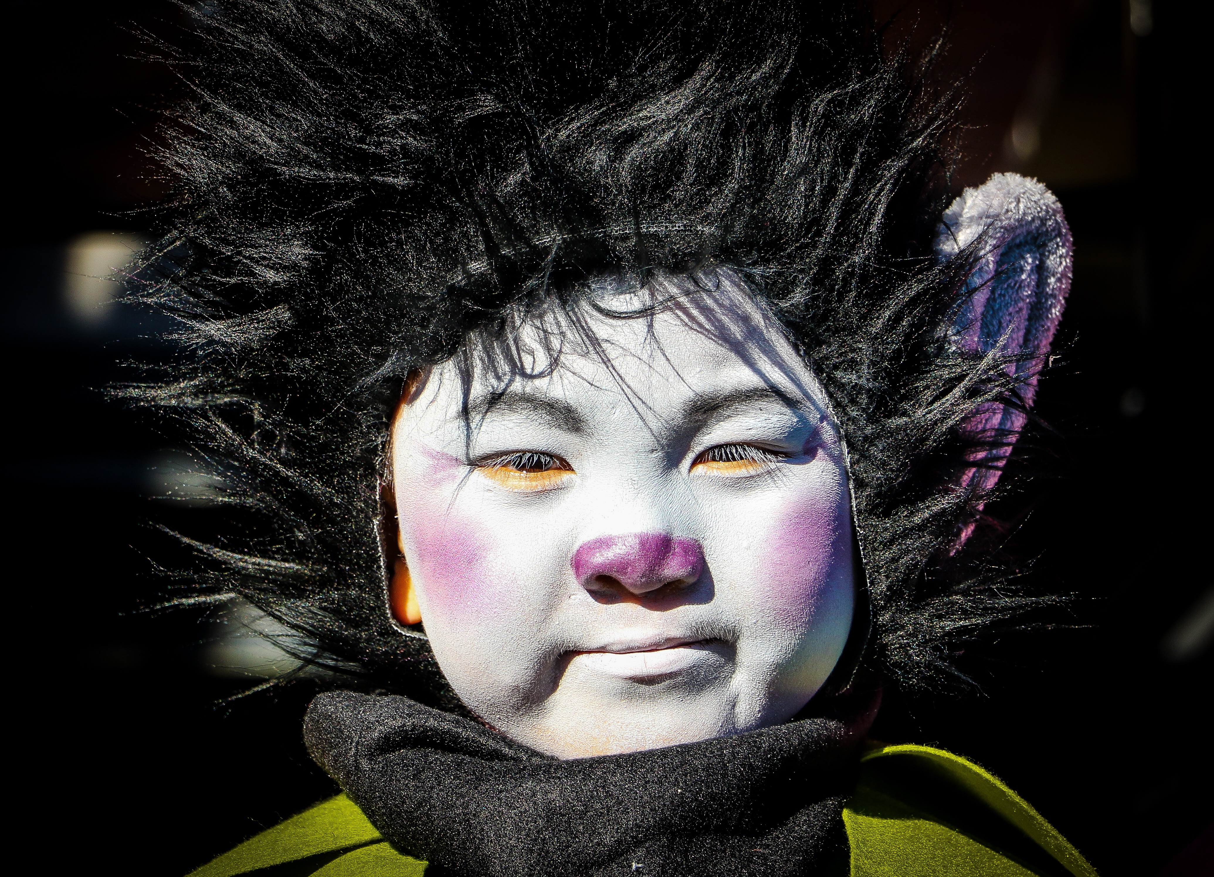 1r premi: Troll | © Sheila Jane Mckinnon Hardie